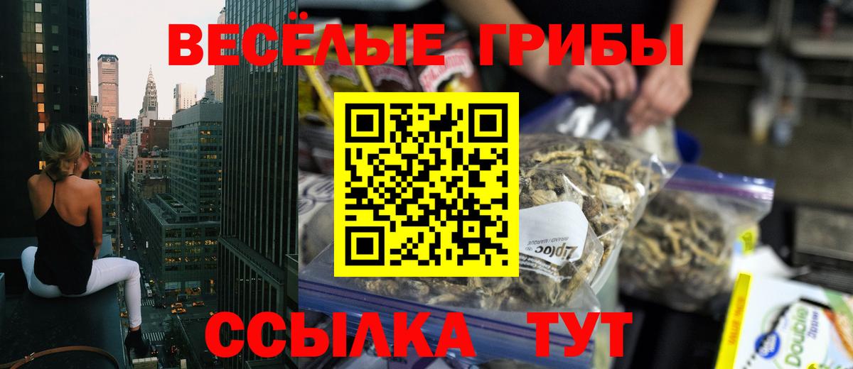 Балтийск  Галлюциногенные грибы мухоморы  Вход с VPN 