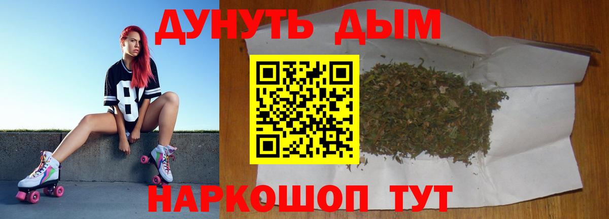 МАРИХУАНА сатива Балтийск